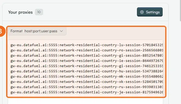 Step 3: the generated lines under Your proxies, with the Format selector