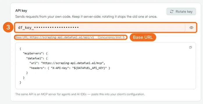 Step 3: the API key field with the eye icon, and the base URL under it