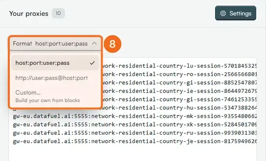 Step 8: the Format menu with host:port:user:pass, http://user:pass@host:port and Custom
